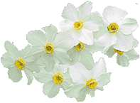 Sivas Çiçekçiler